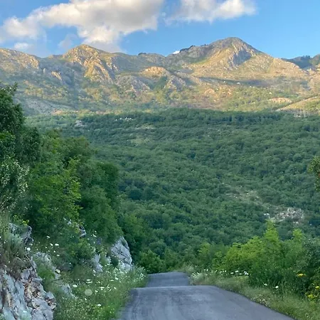 Villa Charming Vineyard Budva